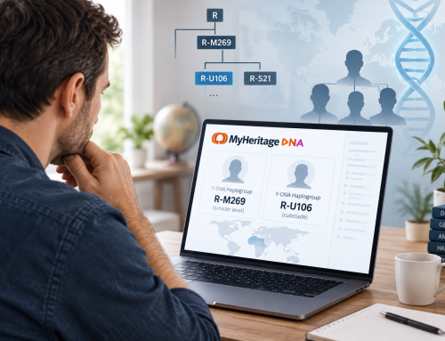 Chromosome Y sur MyHeritage : pourquoi les résultats peuvent-ils être très différents ?